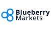 blueberry markets-market