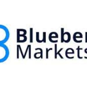 blueberry markets-market