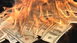 money_on_fire